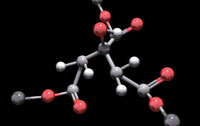 Molecule